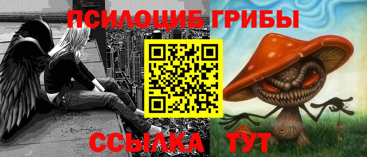 Галлюциногенные грибы GOLDEN TEACHER Вичуга