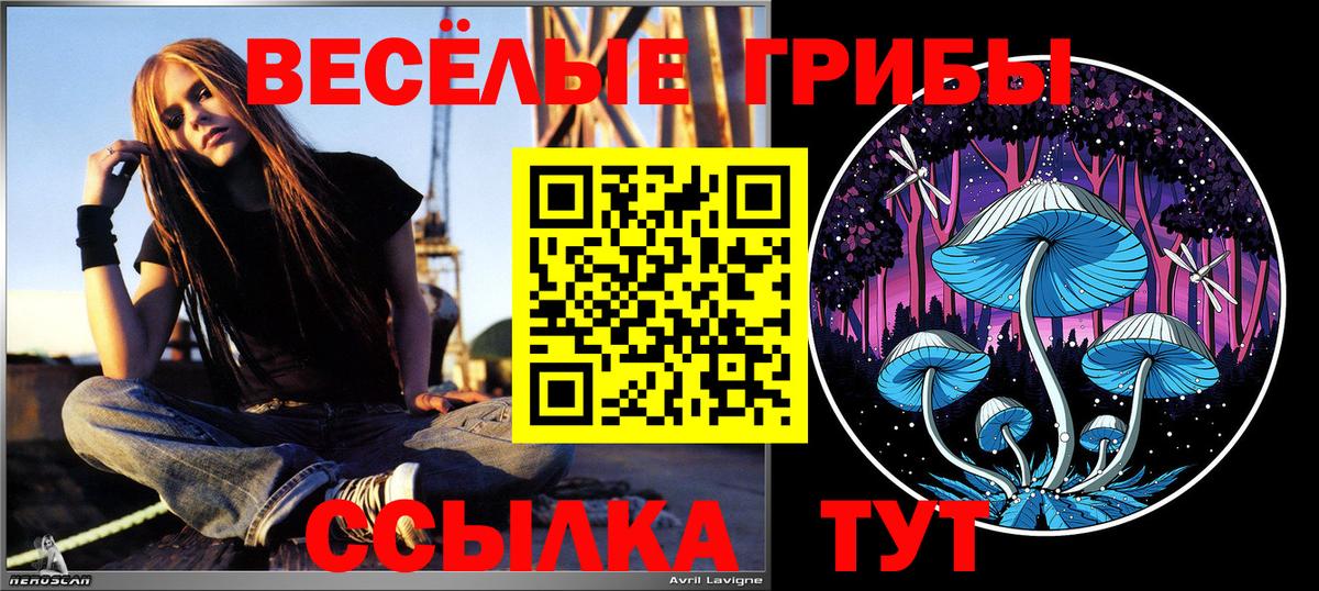 A PVP Вичуга