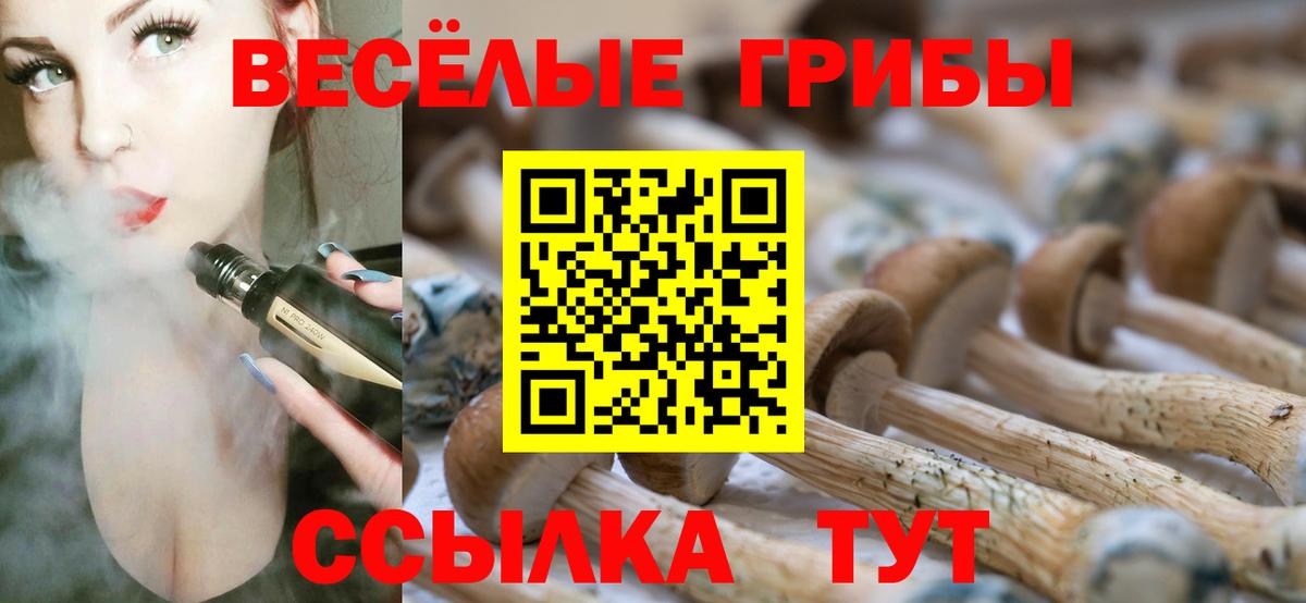 Псилоцибиновые грибы GOLDEN TEACHER  Вход с VPN  Вичуга 